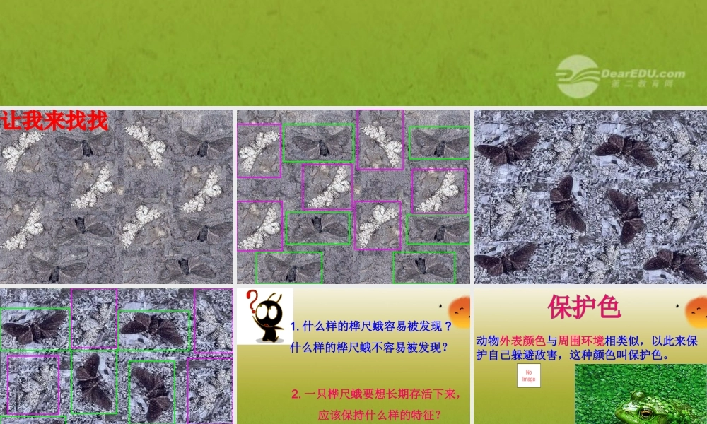 2012年秋七年级生物上册 生物对环境的适应课件 苏科版