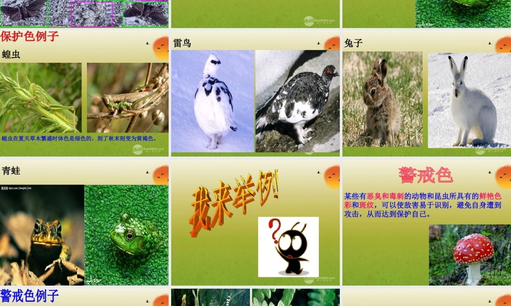 2012年秋七年级生物上册 生物对环境的适应课件 苏科版