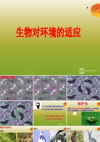 2012年秋七年级生物上册 生物对环境的适应课件 苏科版