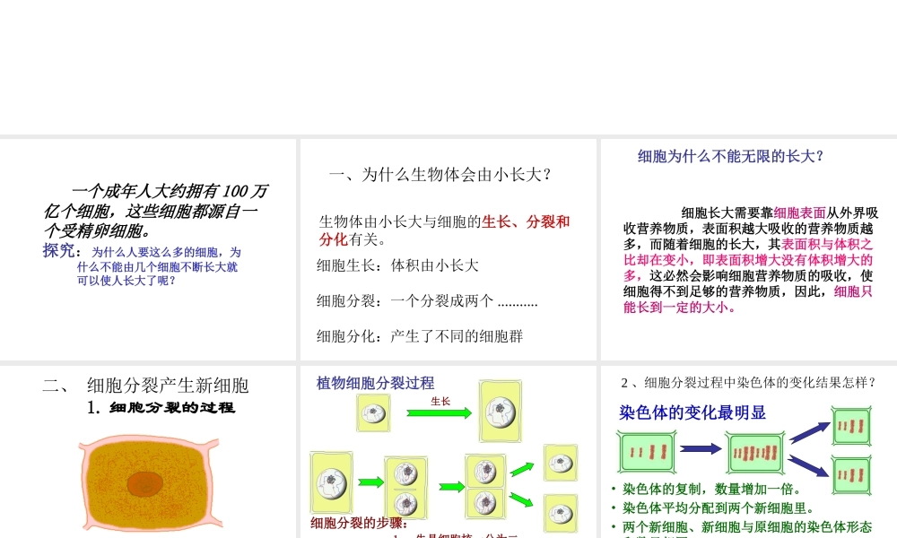 2012年秋七年级生物上册 细胞通过分裂产生新细胞课件 新人教版