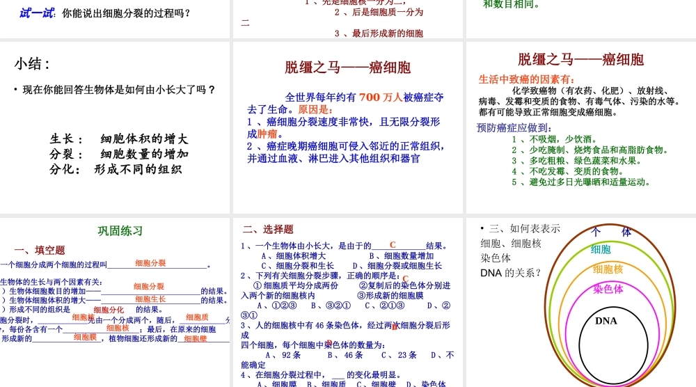 2012年秋七年级生物上册 细胞通过分裂产生新细胞课件 新人教版