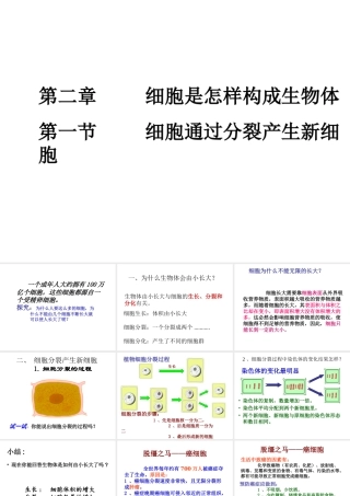2012年秋七年级生物上册 细胞通过分裂产生新细胞课件 新人教版