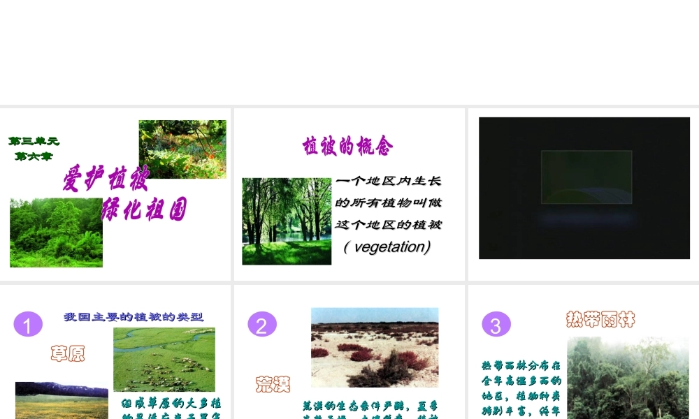 2012年秋七年级生物上册《第三单元 第六章 爱护植被,绿化祖国》课件1 人教新课标版