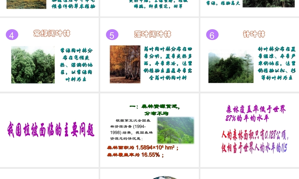 2012年秋七年级生物上册《第三单元 第六章 爱护植被,绿化祖国》课件1 人教新课标版