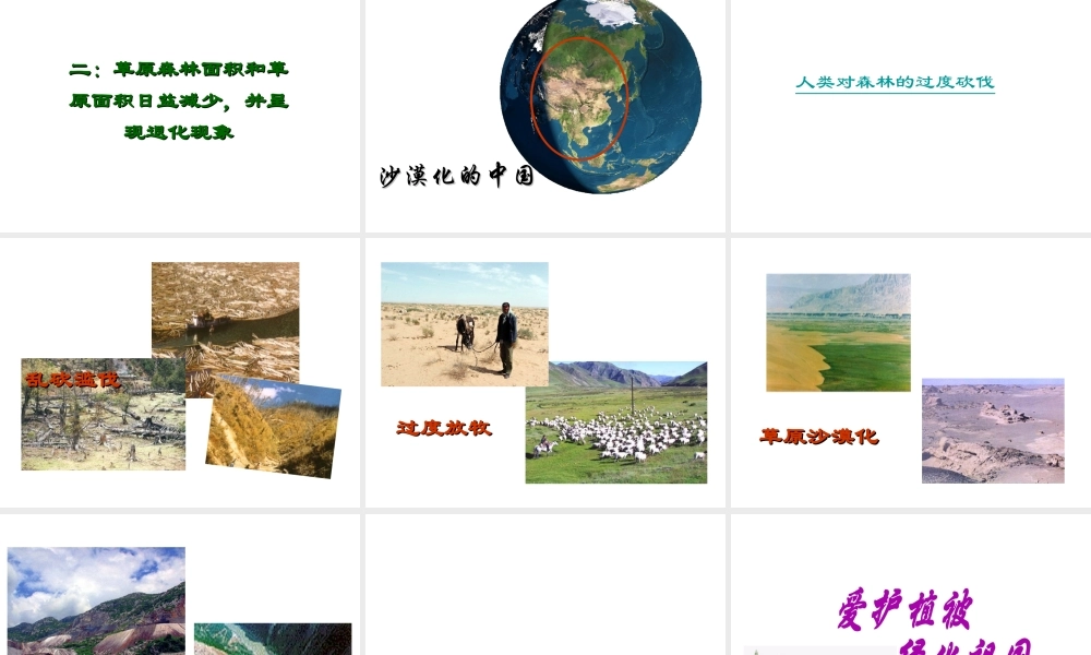 2012年秋七年级生物上册《第三单元 第六章 爱护植被,绿化祖国》课件1 人教新课标版