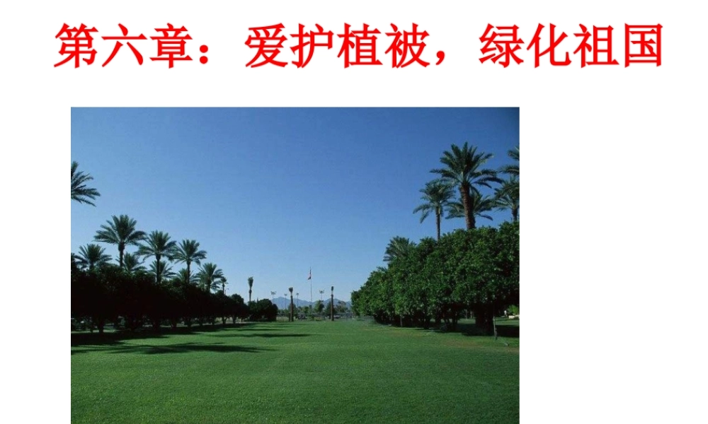 2012年秋七年级生物上册《第三单元 第六章 爱护植被,绿化祖国》课件2 人教新课标版