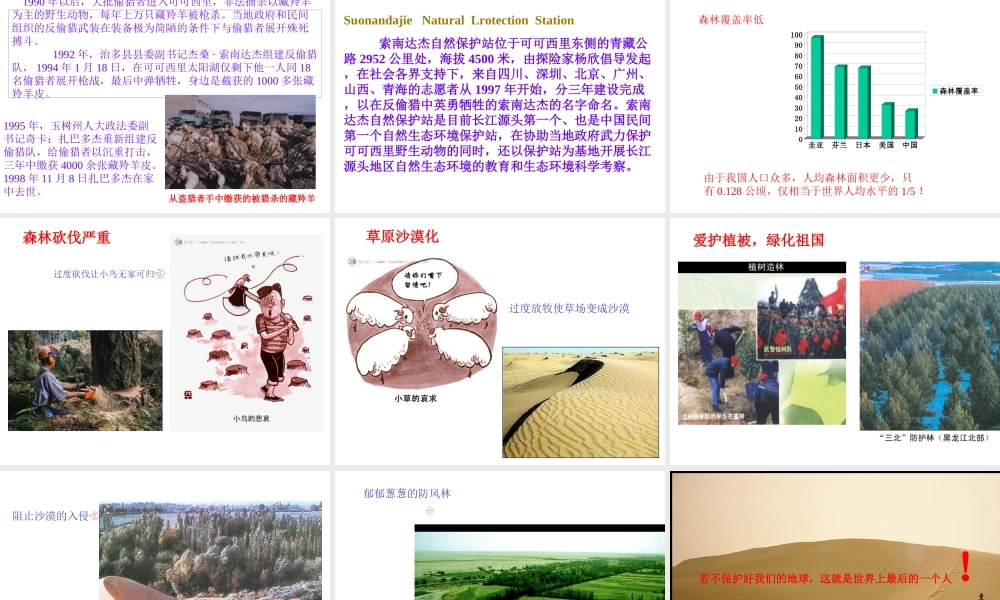 2012年秋七年级生物上册《第三单元 第六章 爱护植被,绿化祖国》课件2 人教新课标版