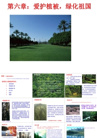 2012年秋七年级生物上册《第三单元 第六章 爱护植被,绿化祖国》课件2 人教新课标版