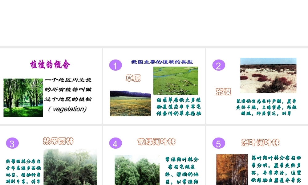 2012年秋七年级生物上册《第三单元 第六章 爱护植被,绿化祖国》课件3 人教新课标版