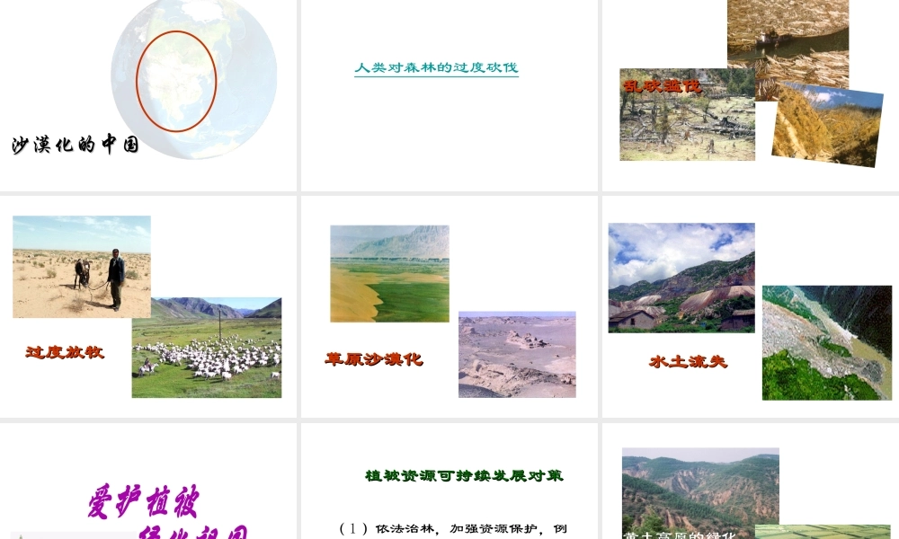 2012年秋七年级生物上册《第三单元 第六章 爱护植被,绿化祖国》课件3 人教新课标版