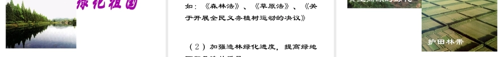 2012年秋七年级生物上册《第三单元 第六章 爱护植被,绿化祖国》课件3 人教新课标版