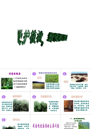 2012年秋七年级生物上册《第三单元 第六章 爱护植被,绿化祖国》课件3 人教新课标版