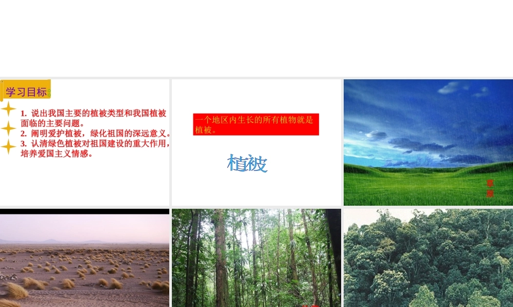 2012年秋七年级生物上册《第三单元 第六章 爱护植被,绿化祖国》课件4 人教新课标版