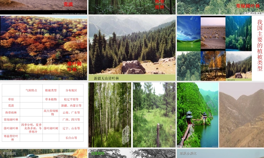 2012年秋七年级生物上册《第三单元 第六章 爱护植被,绿化祖国》课件4 人教新课标版