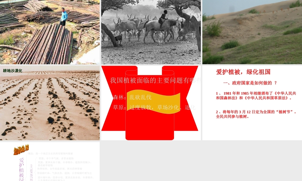2012年秋七年级生物上册《第三单元 第六章 爱护植被,绿化祖国》课件4 人教新课标版