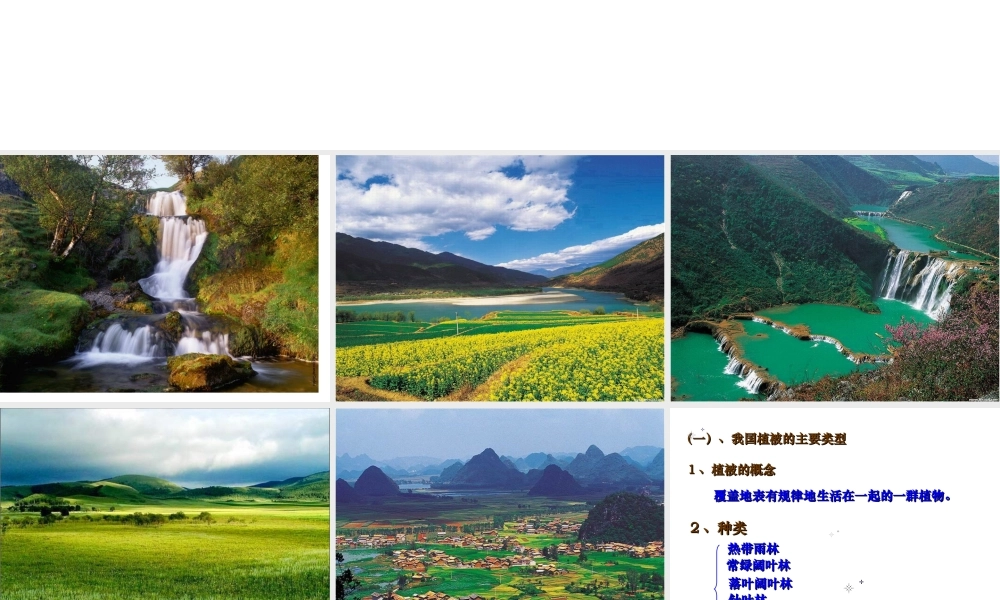 2012年秋七年级生物上册《第三单元 第六章 爱护植被,绿化祖国》课件6 人教新课标版