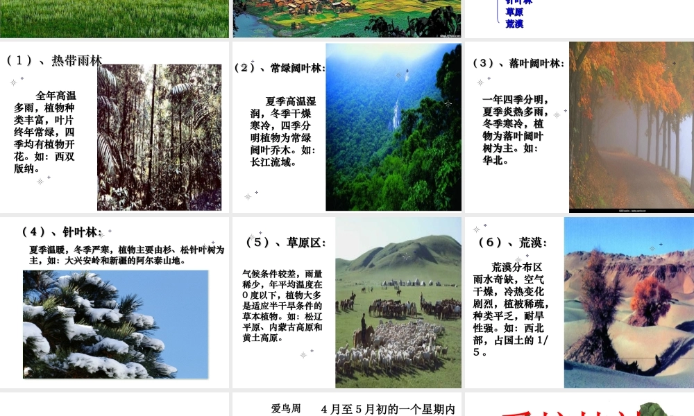 2012年秋七年级生物上册《第三单元 第六章 爱护植被,绿化祖国》课件6 人教新课标版