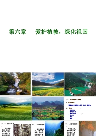 2012年秋七年级生物上册《第三单元 第六章 爱护植被,绿化祖国》课件6 人教新课标版