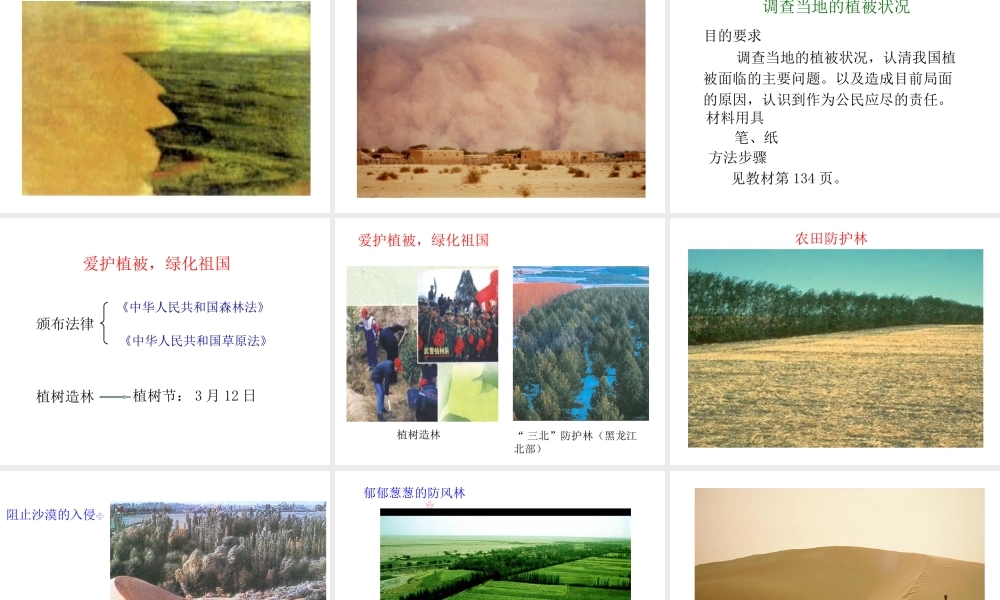 2012年秋七年级生物上册《第三单元 第六章 爱护植被,绿化祖国》课件7 人教新课标版