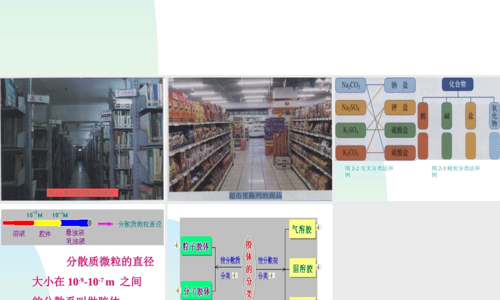 2.1.1第二章第一节第一课时