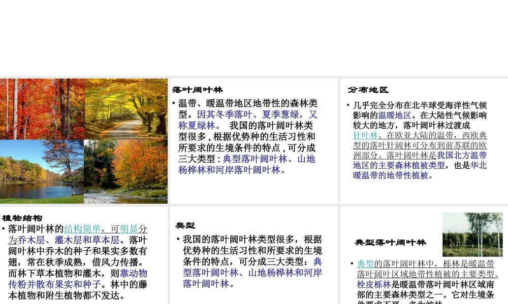 2012年秋七年级生物上册《第三单元 第六章 爱护植被,绿化祖国》课件8 人教新课标版