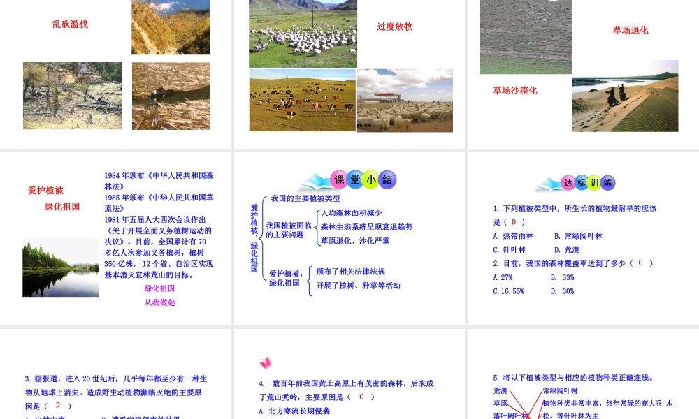 2012年秋七年级生物上册《第三单元 第六章 爱护植被,绿化祖国》课件9 人教新课标版
