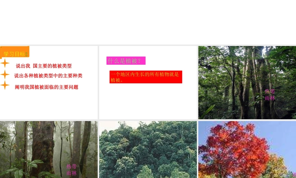 2012年秋七年级生物上册《第三单元 第六章 爱护植被,绿化祖国》课件10 人教新课标版