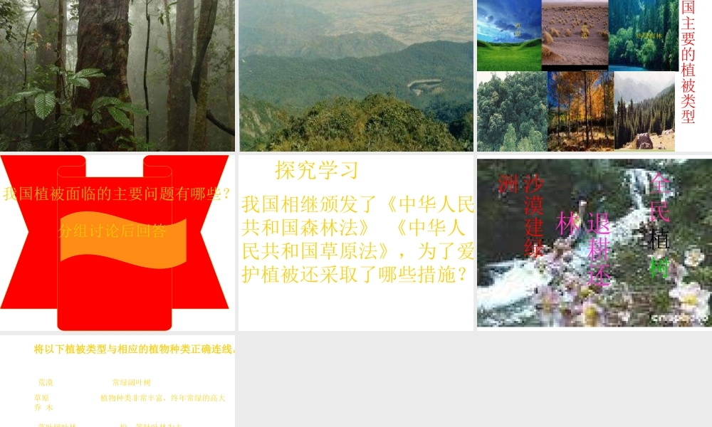 2012年秋七年级生物上册《第三单元 第六章 爱护植被,绿化祖国》课件10 人教新课标版