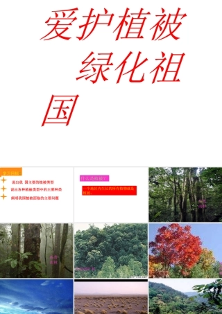 2012年秋七年级生物上册《第三单元 第六章 爱护植被,绿化祖国》课件10 人教新课标版