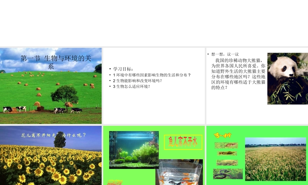 2012年秋七年级生物上册《第一单元  第二章 第一节 生物与环境的关系》课件1 人教新课标版