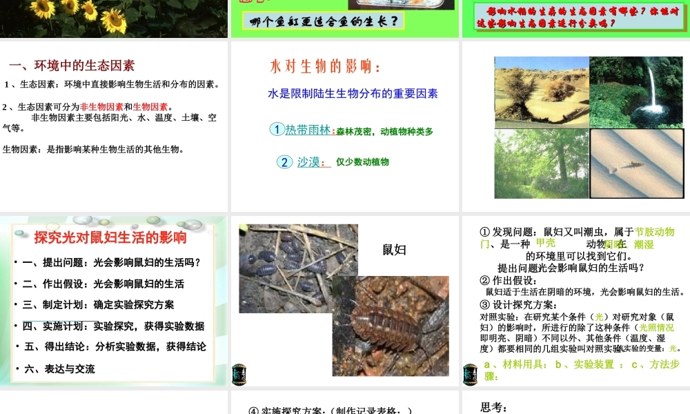 2012年秋七年级生物上册《第一单元  第二章 第一节 生物与环境的关系》课件1 人教新课标版