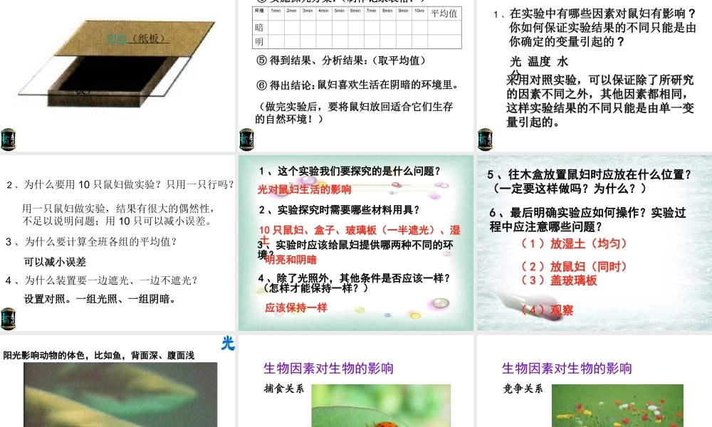 2012年秋七年级生物上册《第一单元  第二章 第一节 生物与环境的关系》课件1 人教新课标版