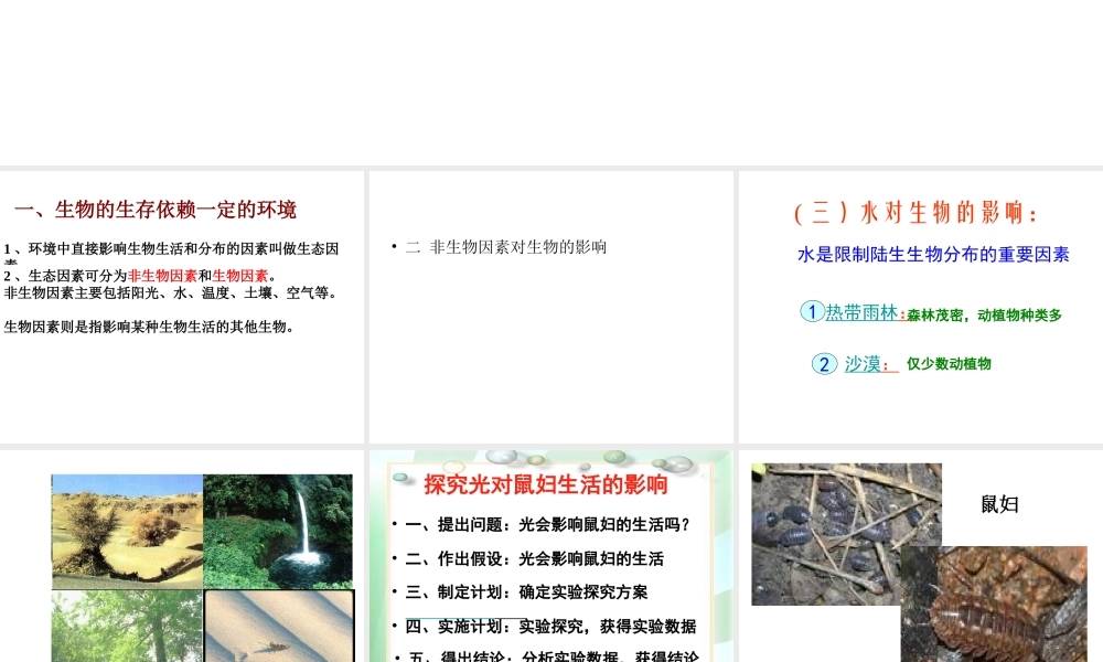 2012年秋七年级生物上册《第一单元  第二章 第一节 生物与环境的关系》课件2 人教新课标版