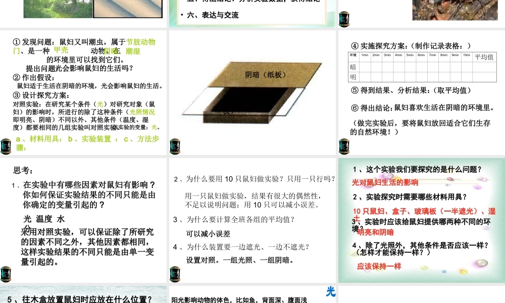 2012年秋七年级生物上册《第一单元  第二章 第一节 生物与环境的关系》课件2 人教新课标版