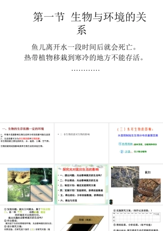 2012年秋七年级生物上册《第一单元  第二章 第一节 生物与环境的关系》课件2 人教新课标版