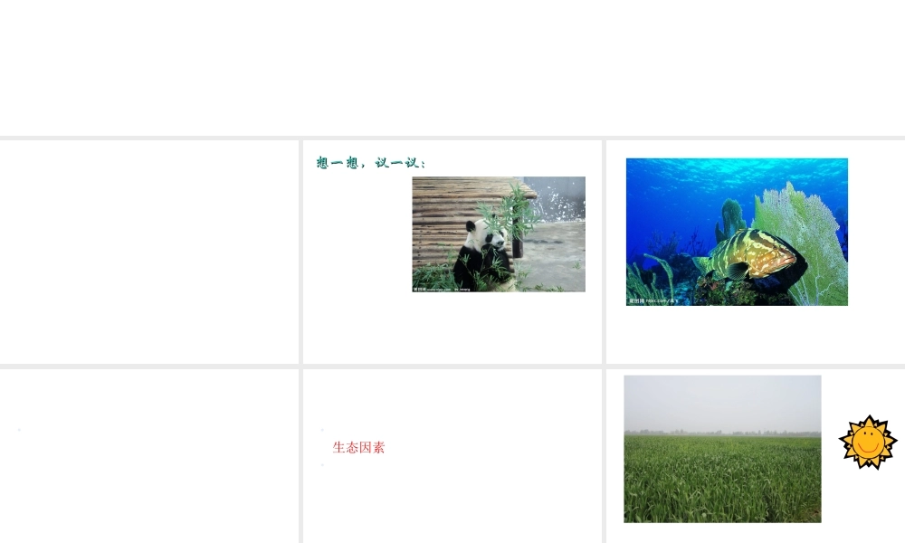 2012年秋七年级生物上册《第一单元  第二章 第一节 生物与环境的关系》课件3 人教新课标版