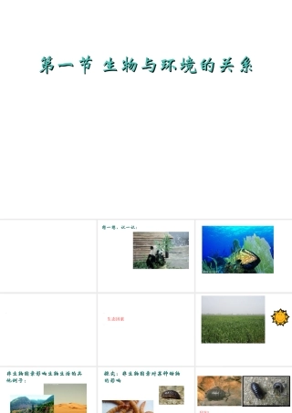 2012年秋七年级生物上册《第一单元  第二章 第一节 生物与环境的关系》课件3 人教新课标版
