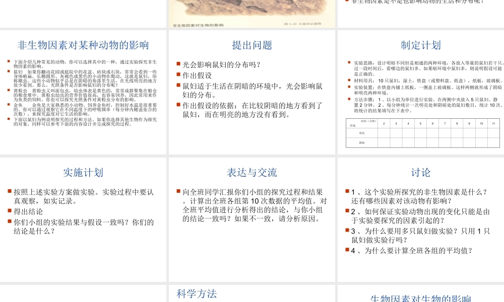 2012年秋七年级生物上册《第一单元  第二章 第一节 生物与环境的关系》课件4 人教新课标版