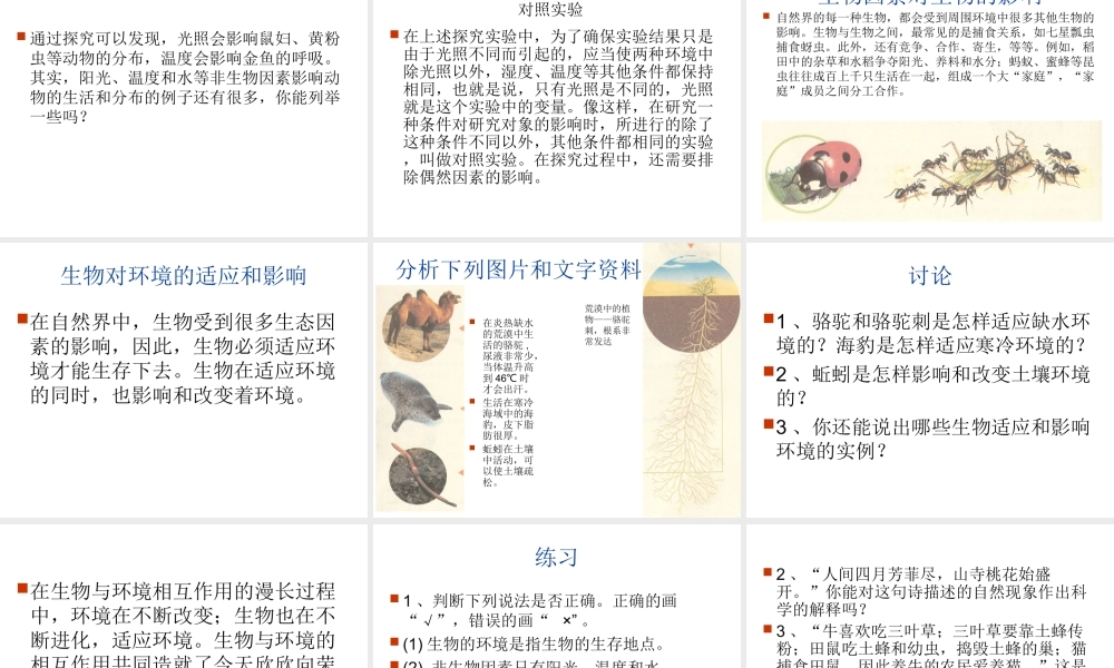 2012年秋七年级生物上册《第一单元  第二章 第一节 生物与环境的关系》课件4 人教新课标版