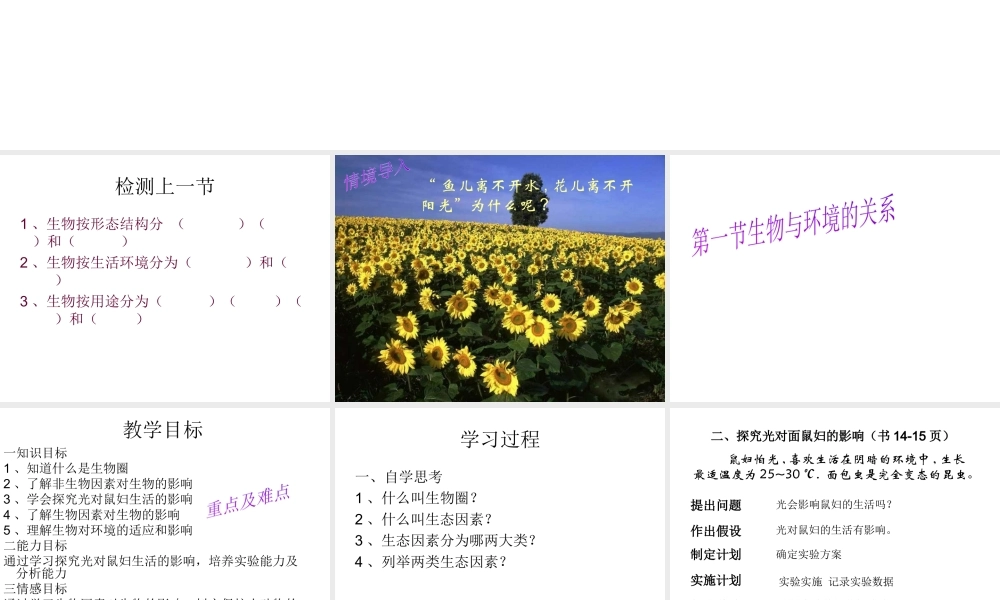 2012年秋七年级生物上册《第一单元  第二章 第一节 生物与环境的关系》课件5 人教新课标版