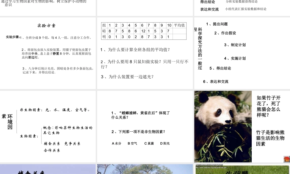 2012年秋七年级生物上册《第一单元  第二章 第一节 生物与环境的关系》课件5 人教新课标版