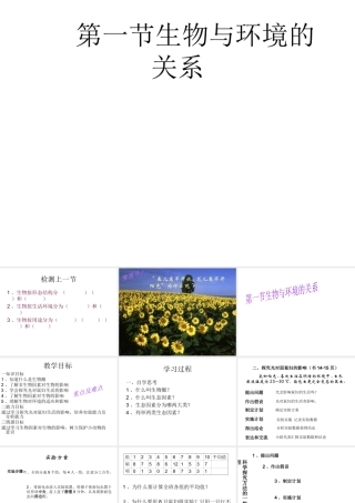 2012年秋七年级生物上册《第一单元  第二章 第一节 生物与环境的关系》课件5 人教新课标版