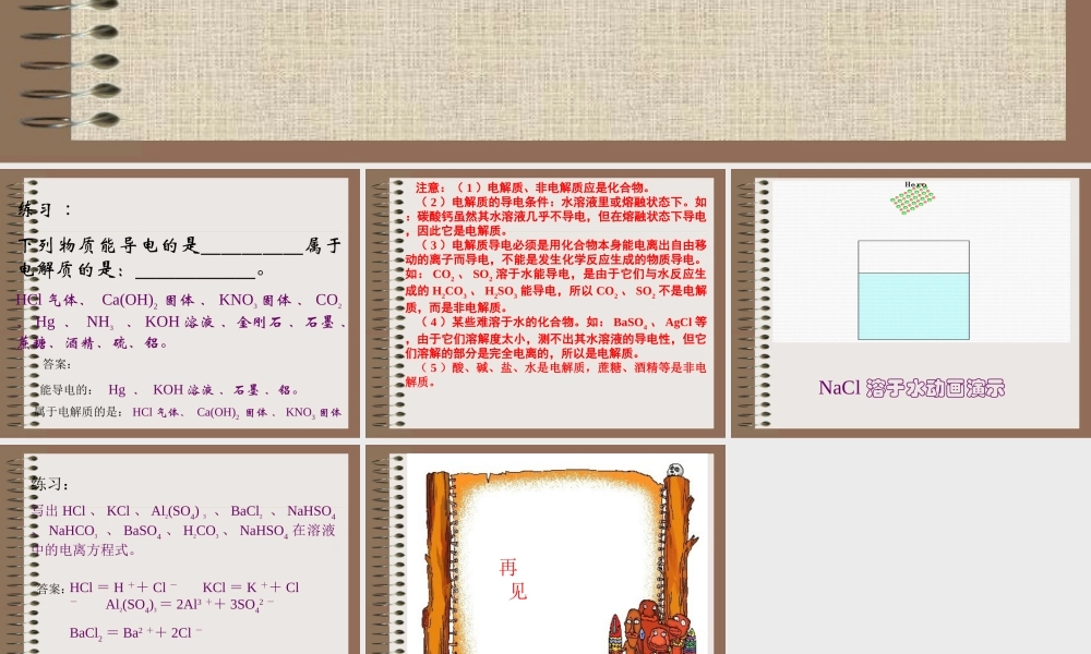 2.2.1离子反应第一课时