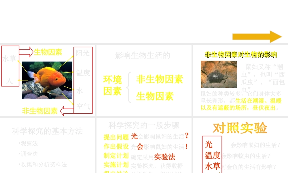 2012年秋七年级生物上册《第一单元  第二章 第一节 生物与环境的关系》课件6 人教新课标版