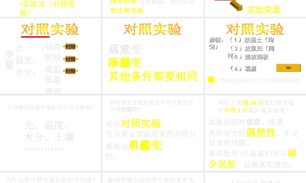 2012年秋七年级生物上册《第一单元  第二章 第一节 生物与环境的关系》课件6 人教新课标版