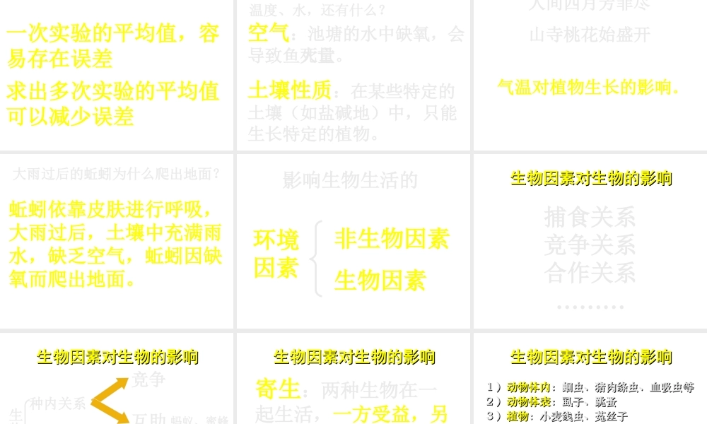 2012年秋七年级生物上册《第一单元  第二章 第一节 生物与环境的关系》课件6 人教新课标版