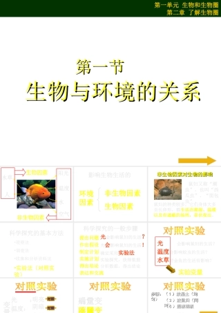 2012年秋七年级生物上册《第一单元  第二章 第一节 生物与环境的关系》课件6 人教新课标版
