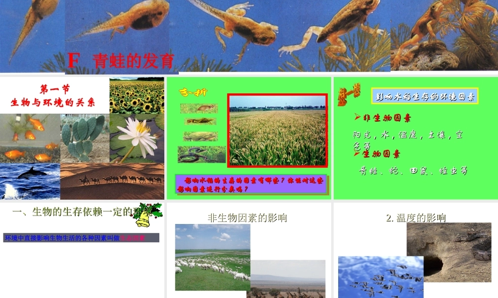 2012年秋七年级生物上册《第一单元  第二章 第一节 生物与环境的关系》课件7 人教新课标版