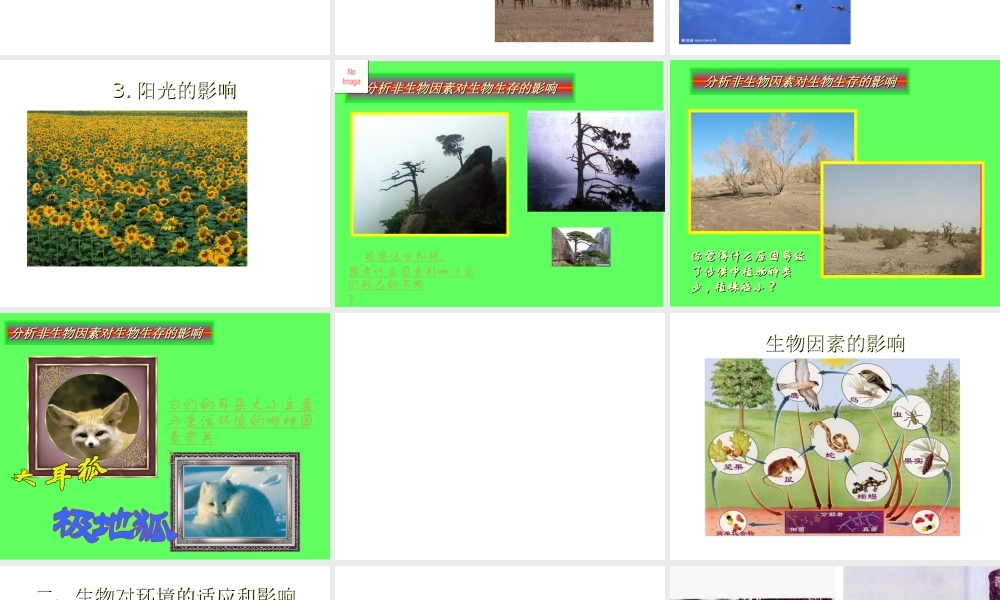 2012年秋七年级生物上册《第一单元  第二章 第一节 生物与环境的关系》课件7 人教新课标版