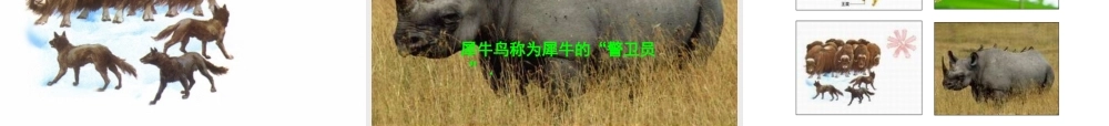2012年秋七年级生物上册《第一单元  第二章 第一节 生物与环境的关系》课件8 人教新课标版